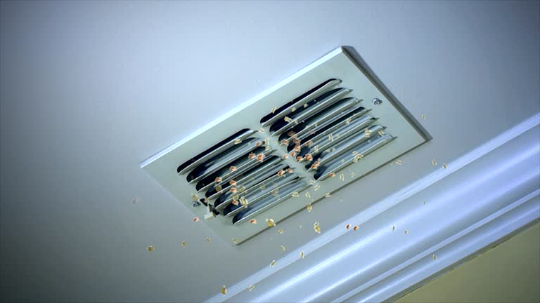 Best Duct Cleaning for Homes  in Gloucester Point, VA