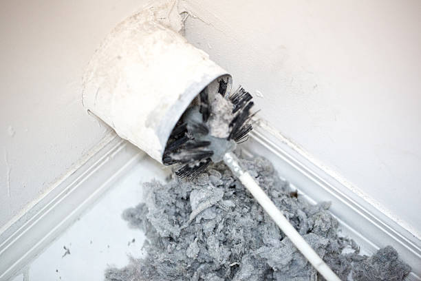 Best Air Duct Mold Removal  in Gloucester Point, VA